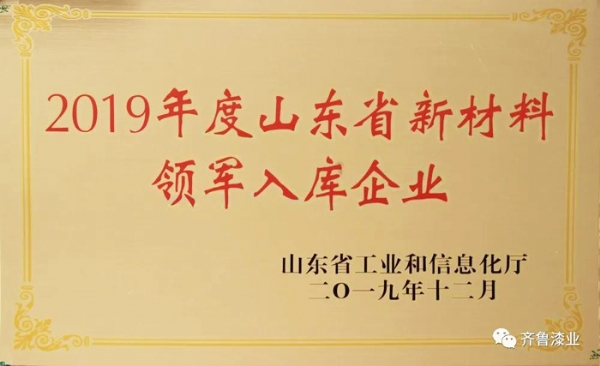 再传捷报：看片软件下载污污污漆业荣膺山东省新材料领军入库企业
